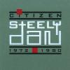 Citizen Steely Dan